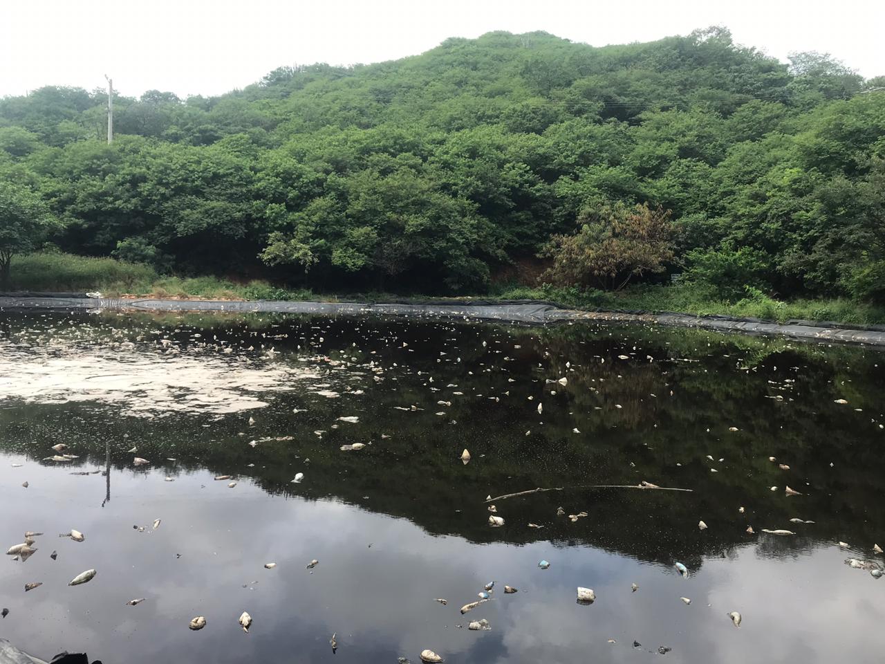 “Esperamos la acción efectiva de Interaseo para evitar afectaciones a la comunidad”: Ogricc “Esperamos la acción efectiva de Interaseo para evitar afectaciones a la comunidad”: Ogricc