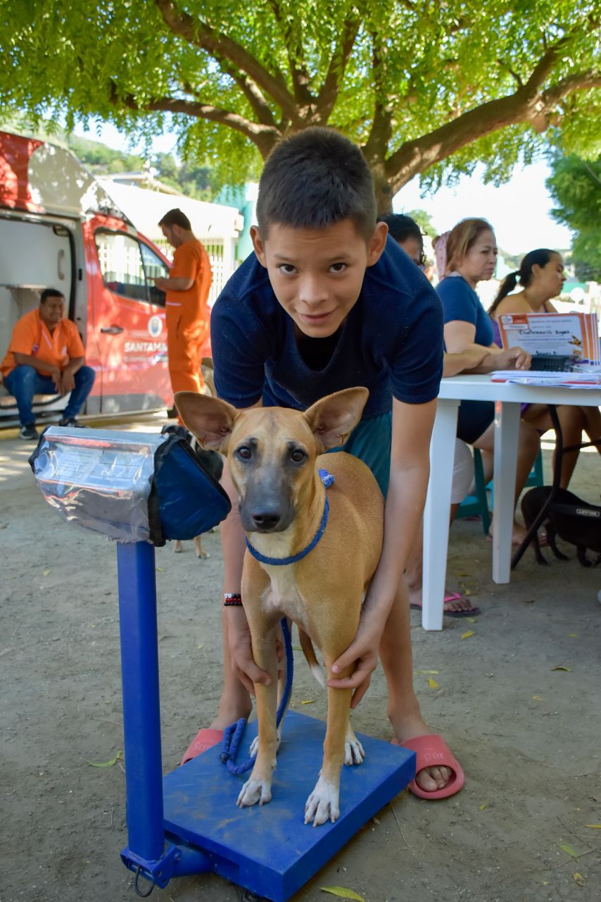 40 Caninos y felinos fueron esterilizados en el barrio Bastidas