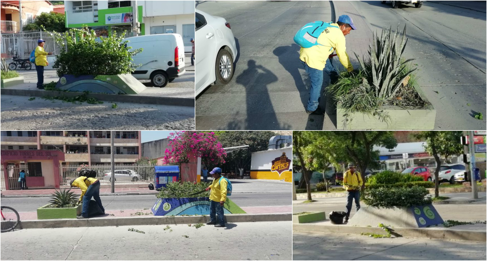 Essmar realiza limpieza de separadores en las principales avenidas Essmar realiza limpieza de separadores en las principales avenidas