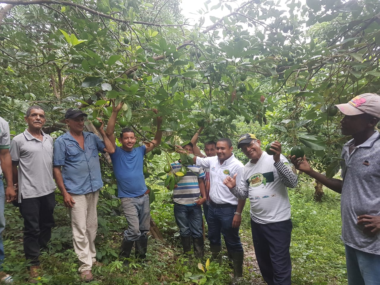 25 nuevos campesinos ingresan al proyecto la Sierra Vuelve a Sembrar