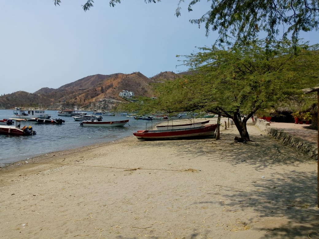 “Quedarse en casa, un beneficio para la salud humana y para el planeta”: la campaña del Dadsa contra el Covid-19 “Quedarse en casa, un beneficio para la salud humana y para el planeta”: la campaña del Dadsa contra el Covid-19