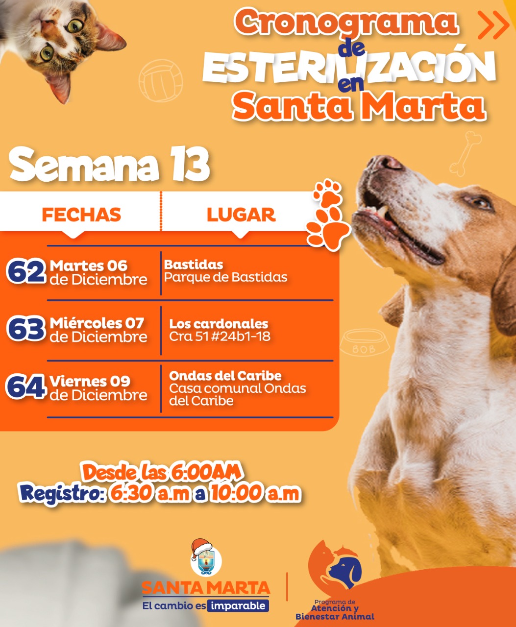 Jornadas masivas de esterilización de caninos y felinos llegan a más sectores del Distrito Jornadas masivas de esterilización de caninos y felinos llegan a más sectores del Distrito