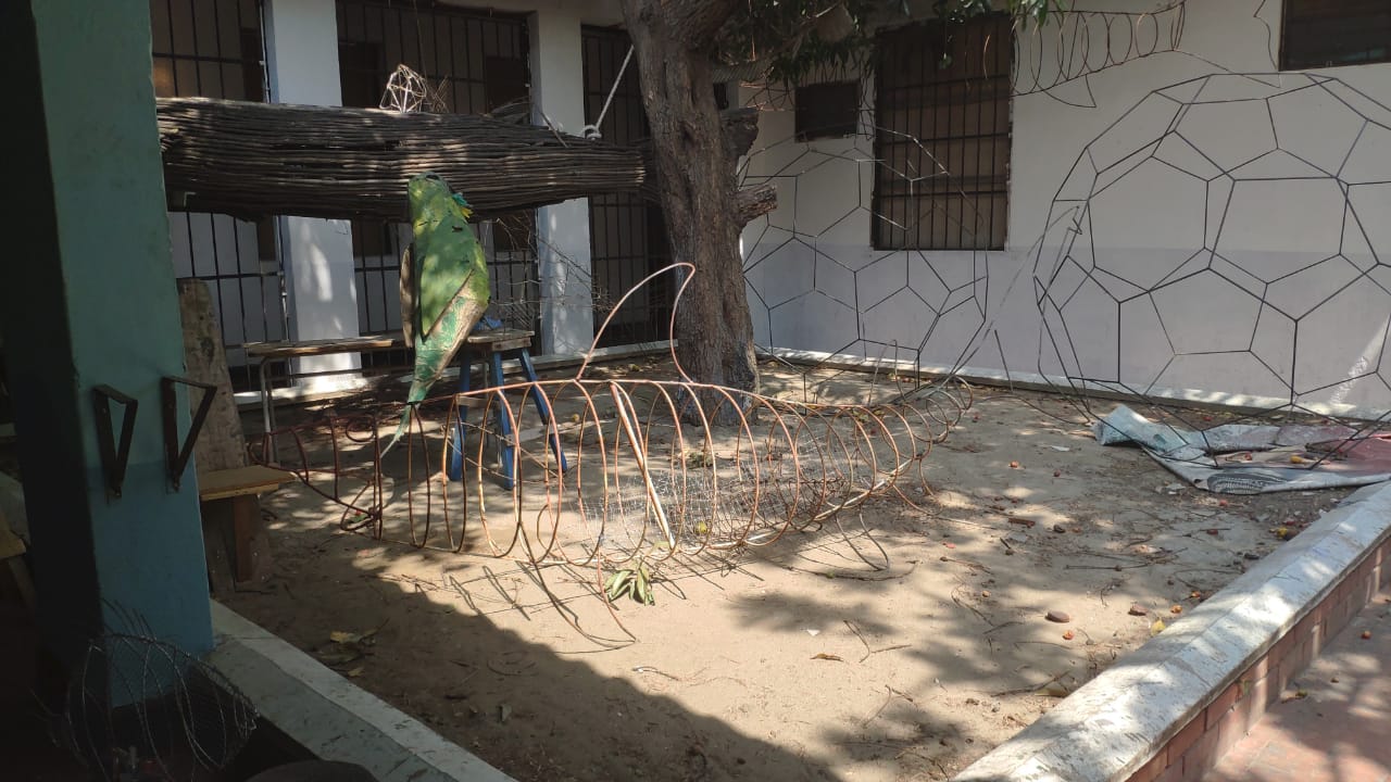 DADSA realiza jornada de limpieza subacuática en la bahía samaria DADSA realiza jornada de limpieza subacuática en la bahía samaria