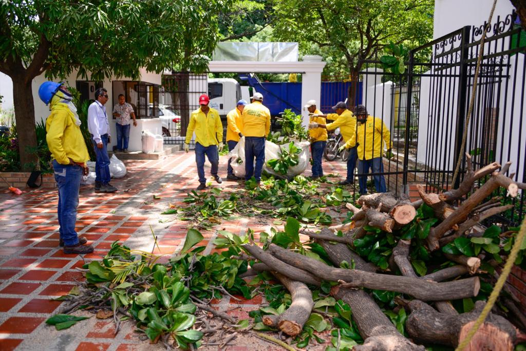 Essmar retiró más de 55 toneladas de material vegetal y RCD en dos puntos importantes para la ciudad