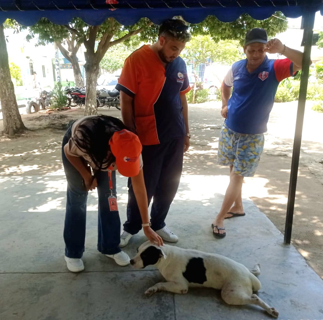 Alcaldía presente en la jornada de bienestar y esterilización de Fundecaribe Alcaldía presente en la jornada de bienestar y esterilización de Fundecaribe