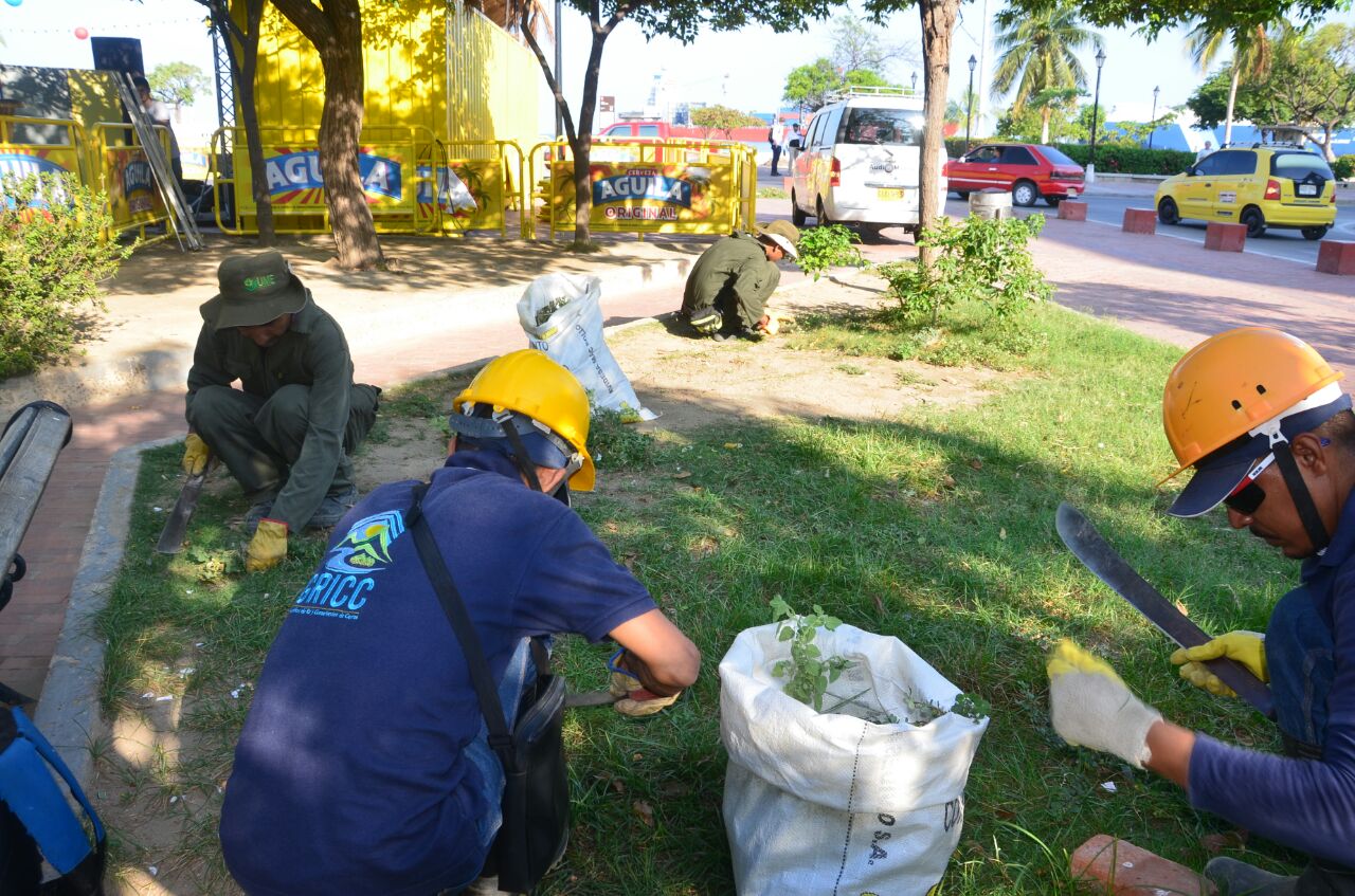 Conservación de zonas verdes Conservación de zonas verdes