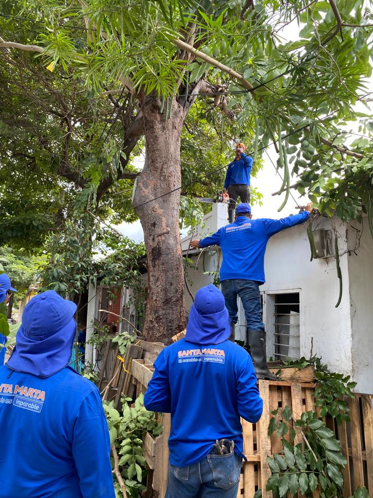 Distrito remueve material rocoso y lodo en el barrio Las Malvinas tras afectaciones por la temporada de lluvias