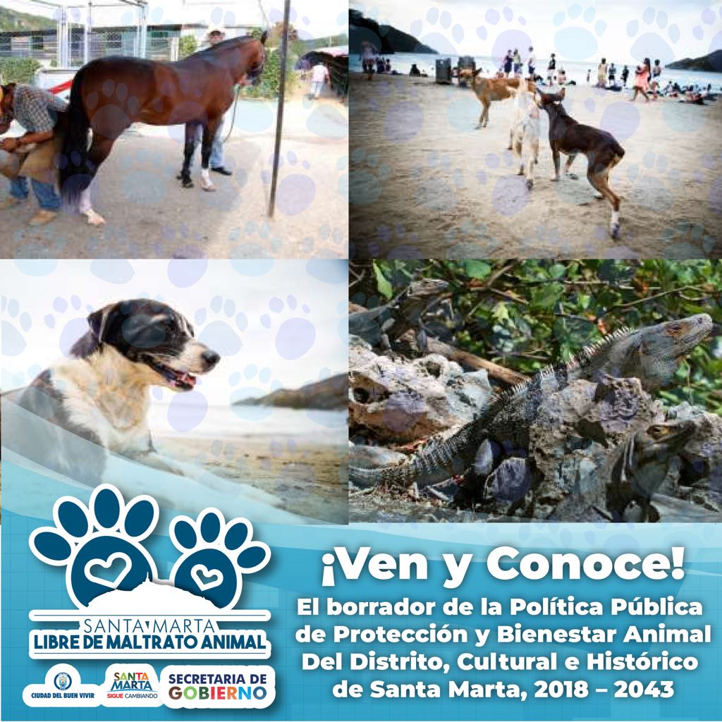 POLITICA PÚBLICA ANIMALES POLITICA PÚBLICA ANIMALES