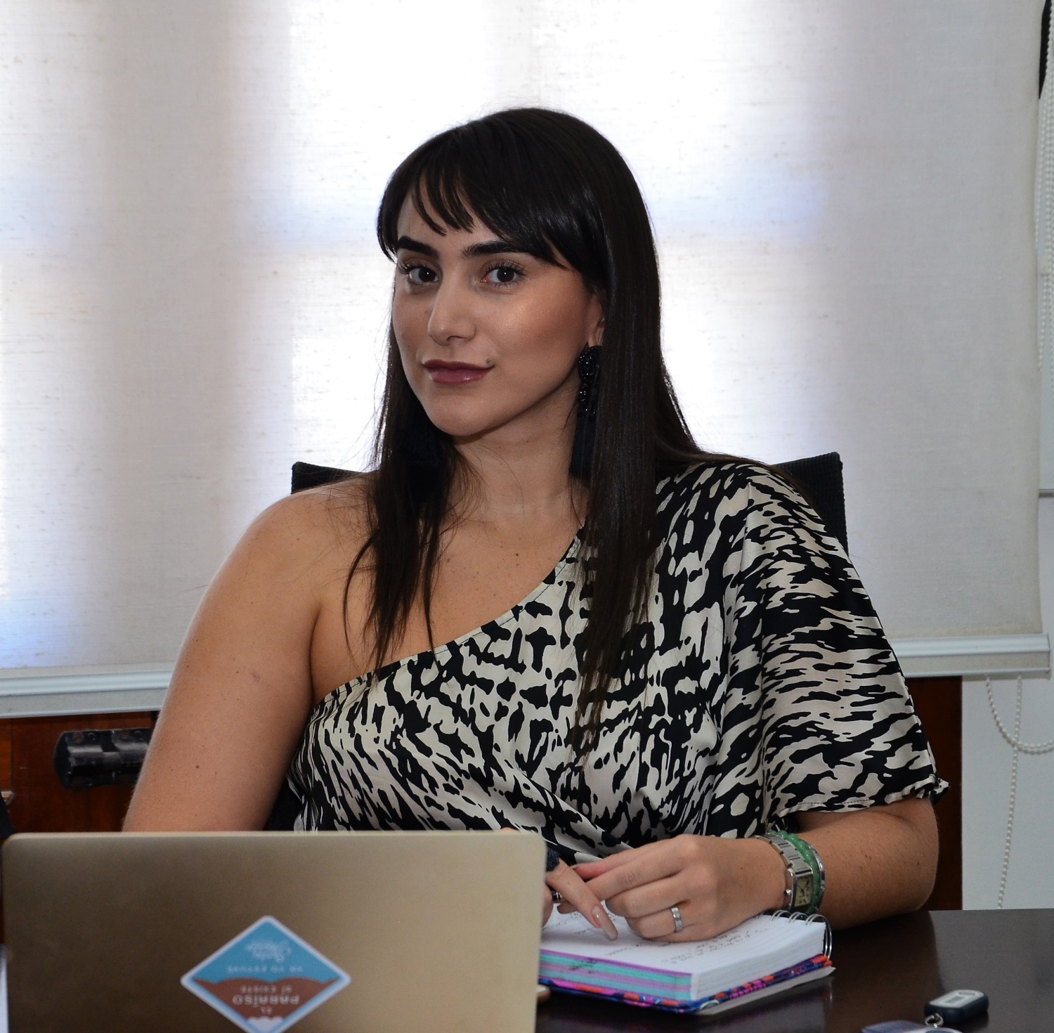 La directora del Instituto Distrital de Turismo, Indetur, Shadia Olarte anunció que esta entidad se vinculará a la Campaña 