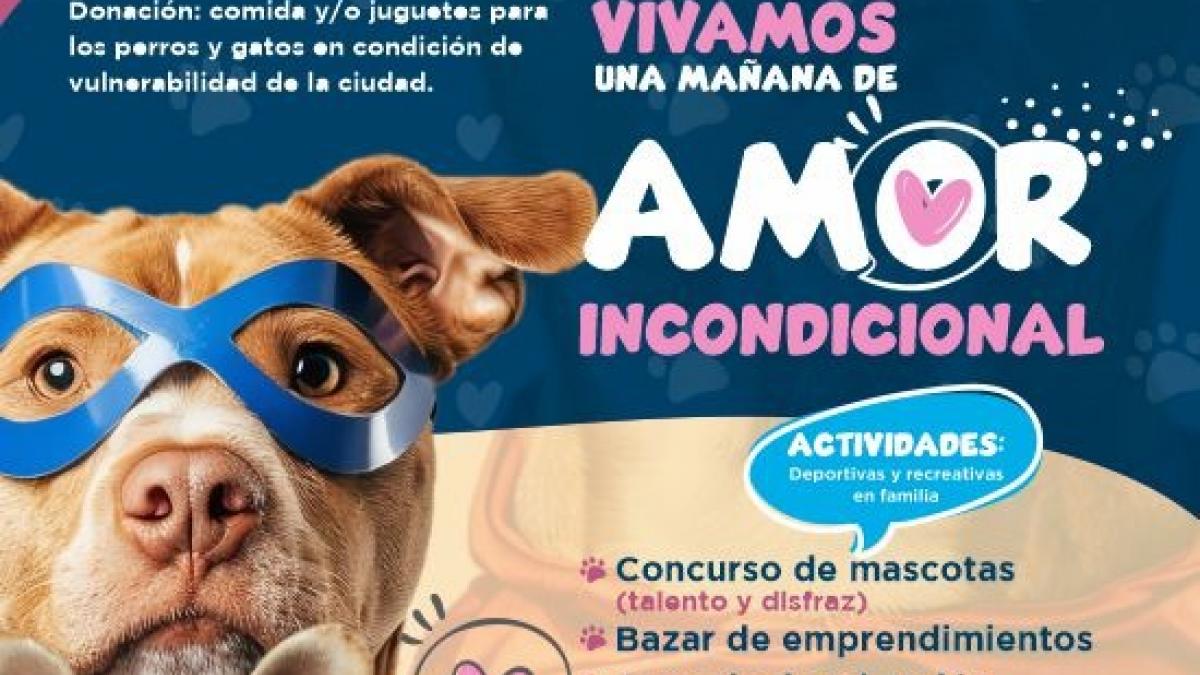Alcaldía de Santa Marta fomenta el bienestar animal con iniciativa Huellitas del Mar