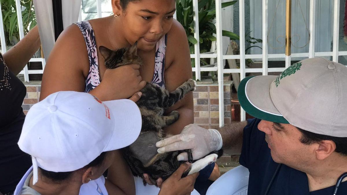 Habitantes de El Pando accedieron a la VIII Jornada de Esterilización Canina y Felina