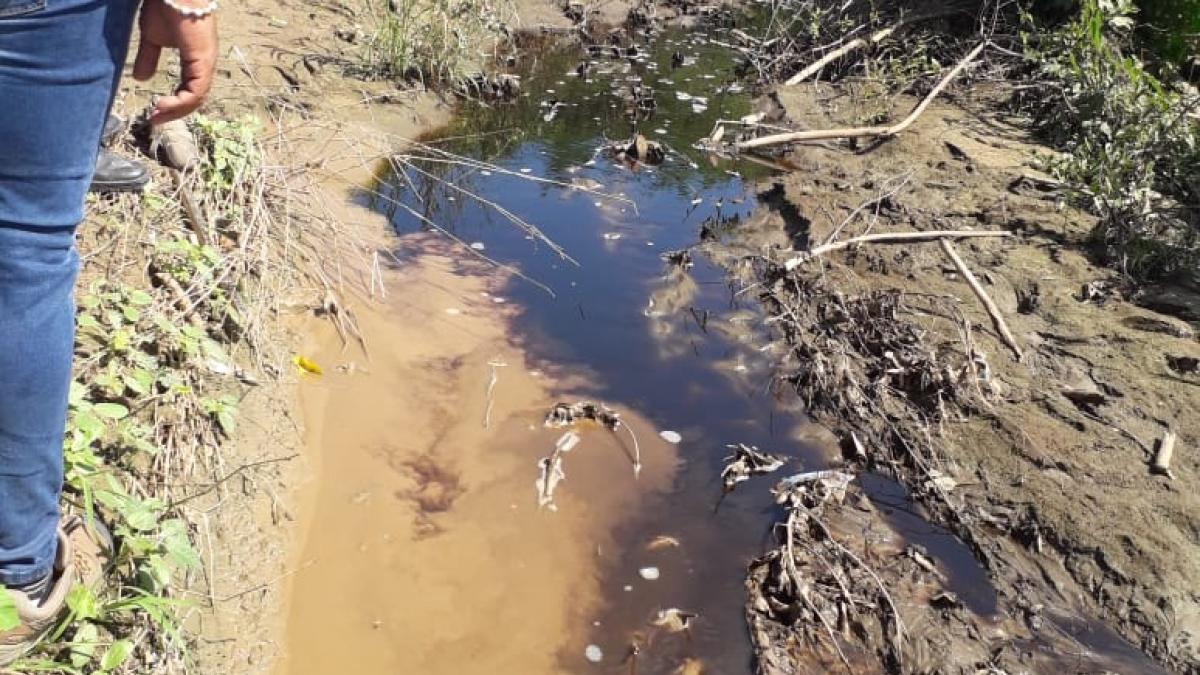 Dadsa y Essmar multarían a Interaseo por vertimiento de lixiviados en Palangana