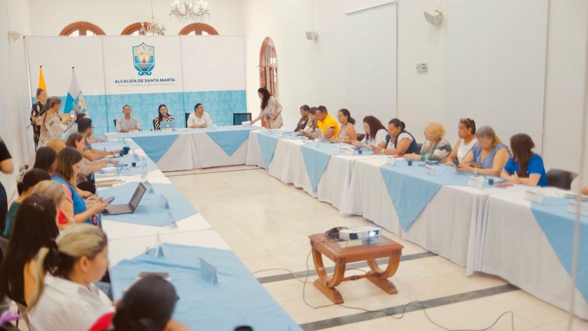 Comité Intersectorial Distrital Adopta Medidas Contra la Violencia de Género