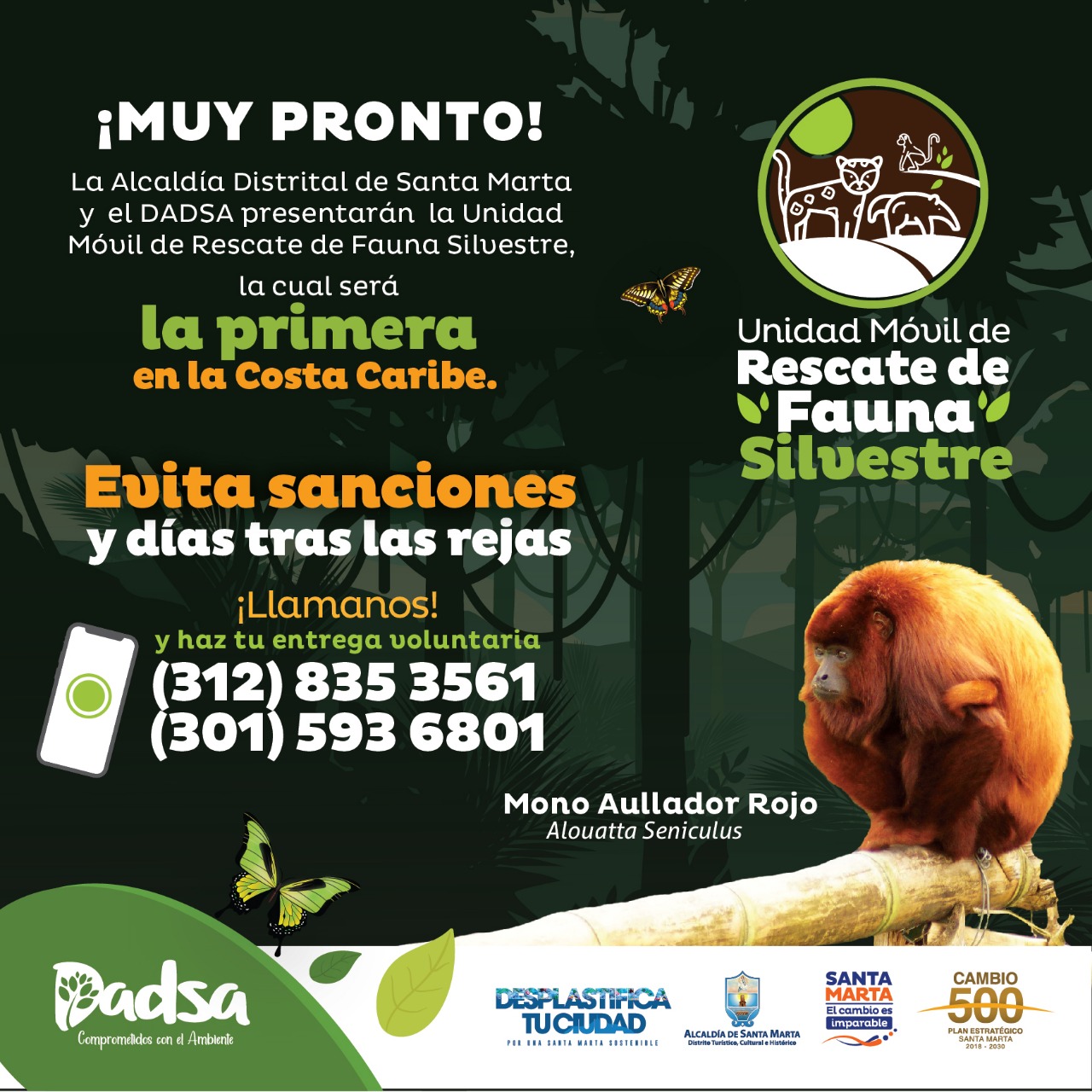 Santa Marta se prepara para ser líder en el Caribe en protección de fauna silvestre con Unidad de Rescate del Dadsa Santa Marta se prepara para ser líder en el Caribe en protección de fauna silvestre con Unidad de Rescate del Dadsa