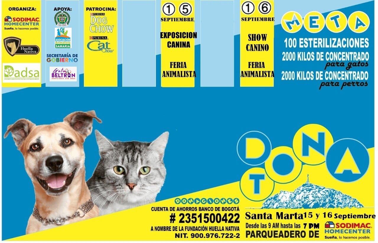 Todo listo para la Gran Donatón en beneficio de los perros y gatos en situación de calle Todo listo para la Gran Donatón en beneficio de los perros y gatos en situación de calle