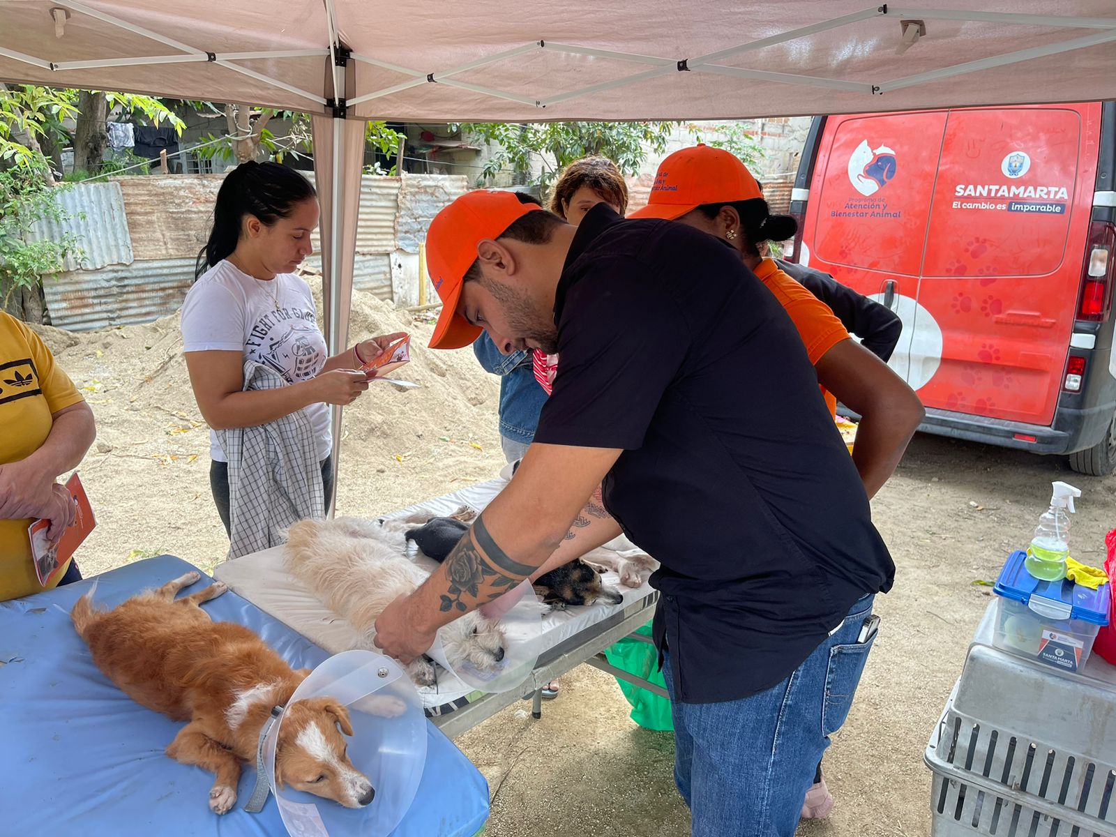 Programa de Atención y Bienestar Animal de la Alcaldía ha esterilizado 2.950 caninos y felinos