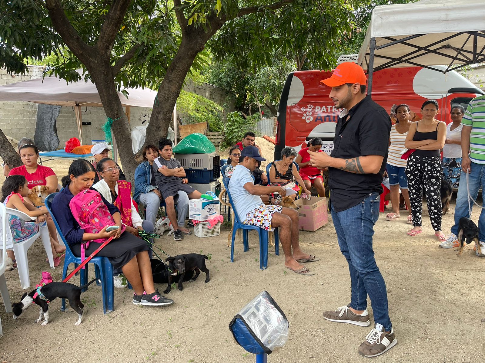 Programa de Atención y Bienestar Animal de la Alcaldía ha esterilizado 2.950 caninos y felinos