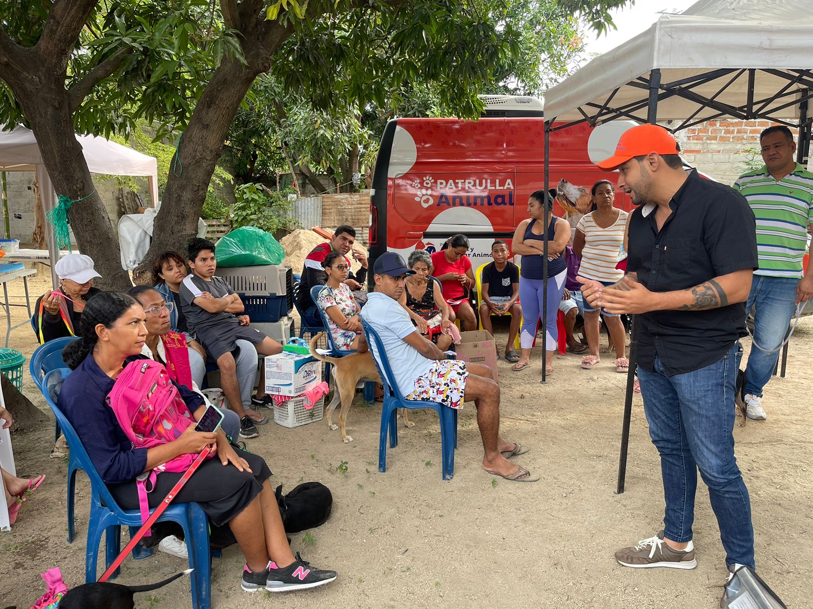 Programa de Atención y Bienestar Animal de la Alcaldía ha esterilizado 2.950 caninos y felinos