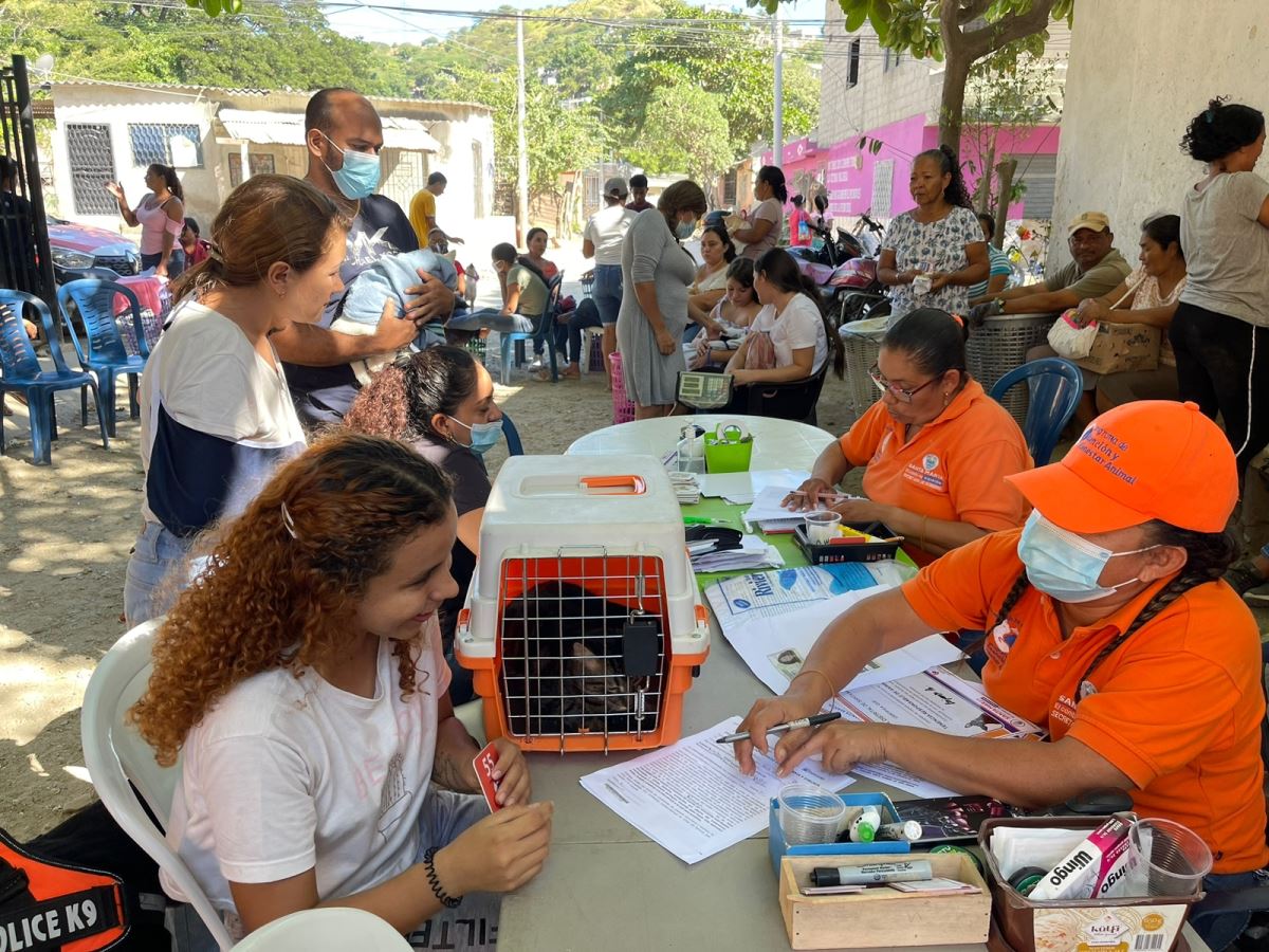 Programa de Atención y Bienestar Animal atendió caninos y felinos en Las Malvinas Programa de Atención y Bienestar Animal atendió caninos y felinos en Las Malvinas